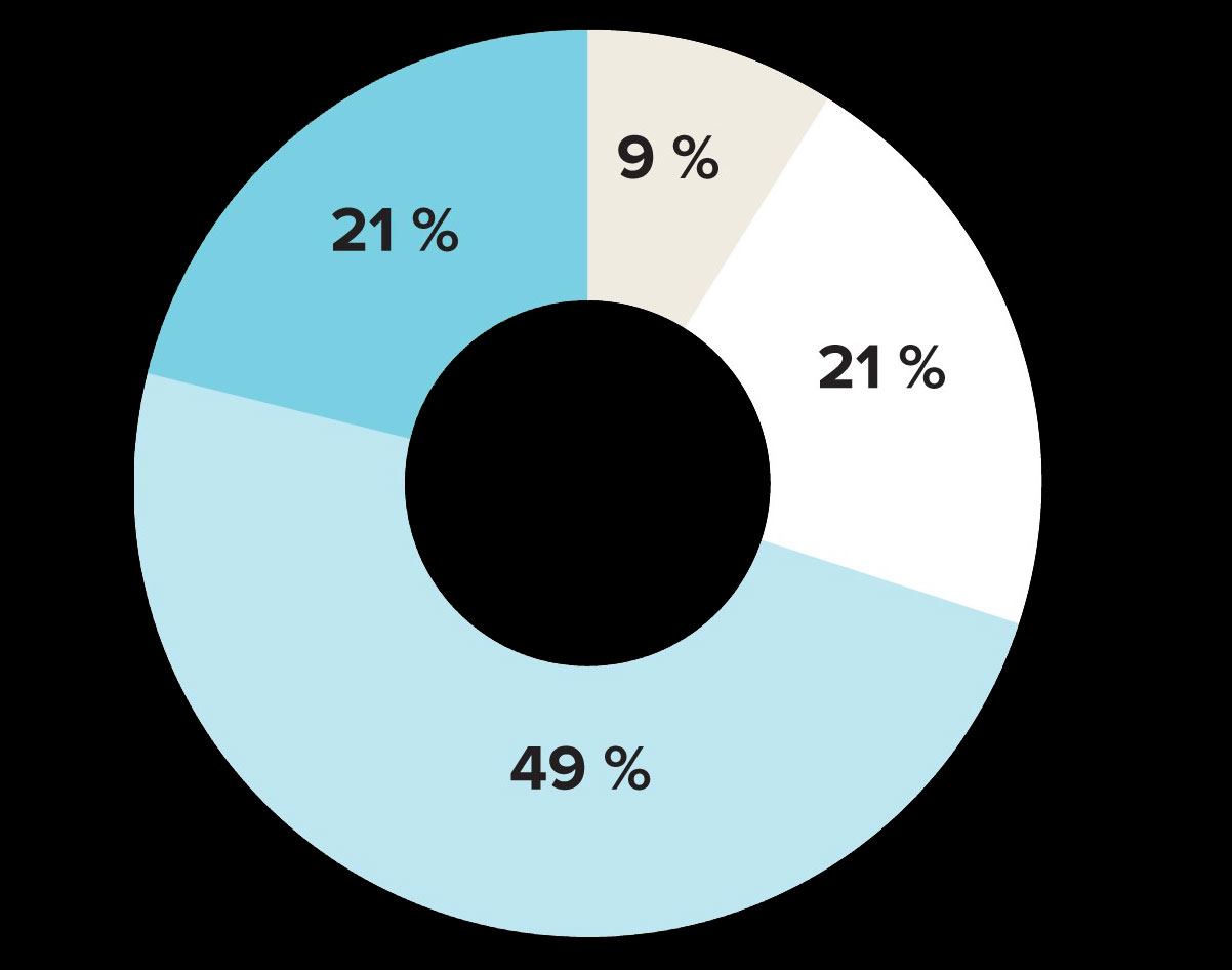 Décisions évoquant la race, la couleur ou l'origine nationale ou ethnique - version textuelle présentée dans le tableau qui suit