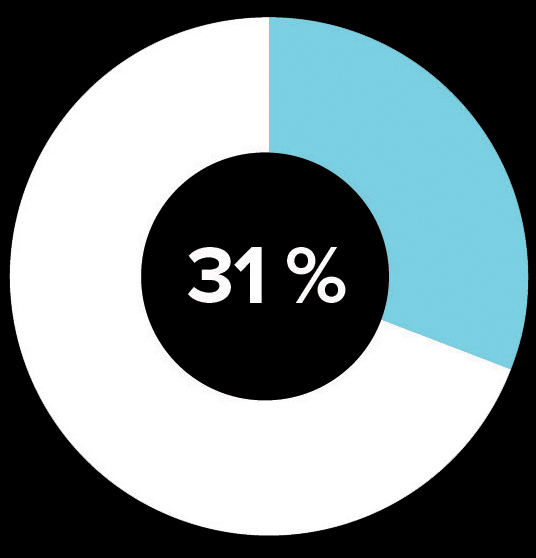 diagramme circulaire représente 31 %